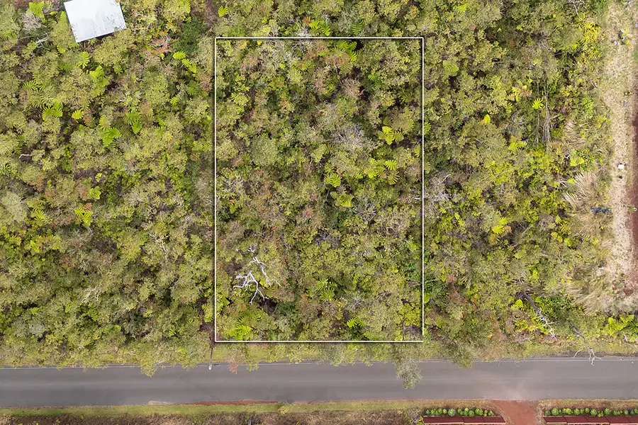 11-3143 Alaula St, Volcano, HI 96785 - #2