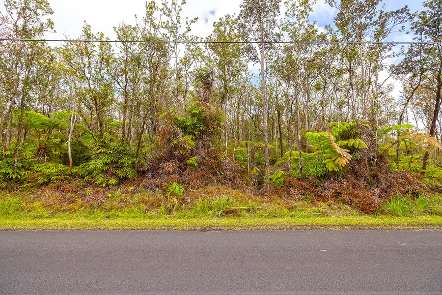 11-3143 Alaula St, Volcano, HI 96785 - #3