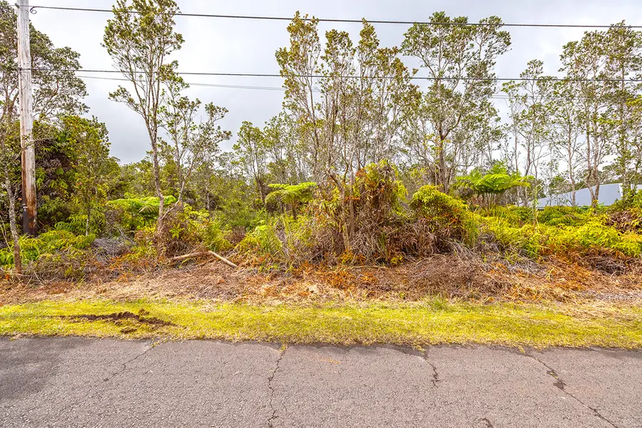 11-3360 Mokuna St, Volcano, HI 96785 - #2