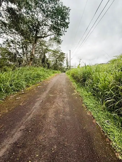 Mayzee Rd, Pahoa, HI 96778 - #1