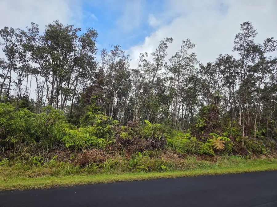 Alii Anela St, Volcano, HI 96785 - #2