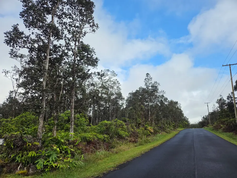 Alii Anela St, Volcano, HI 96785 - #3