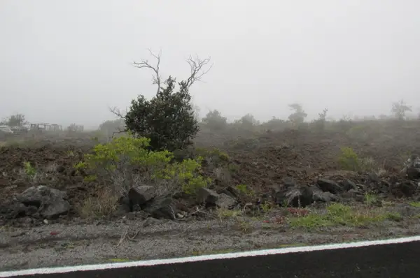 Lurline Ln, Ocean View, HI 96737
