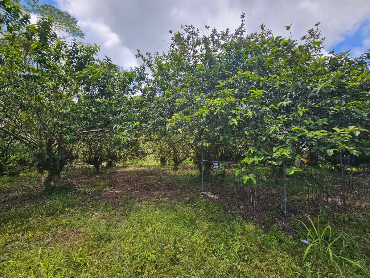 34th Ave, Kurtistown, HI 96760 - #1