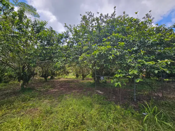 34th Ave, Kurtistown, HI 96760