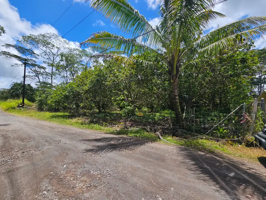 34th Ave, Kurtistown, HI 96760 - #2