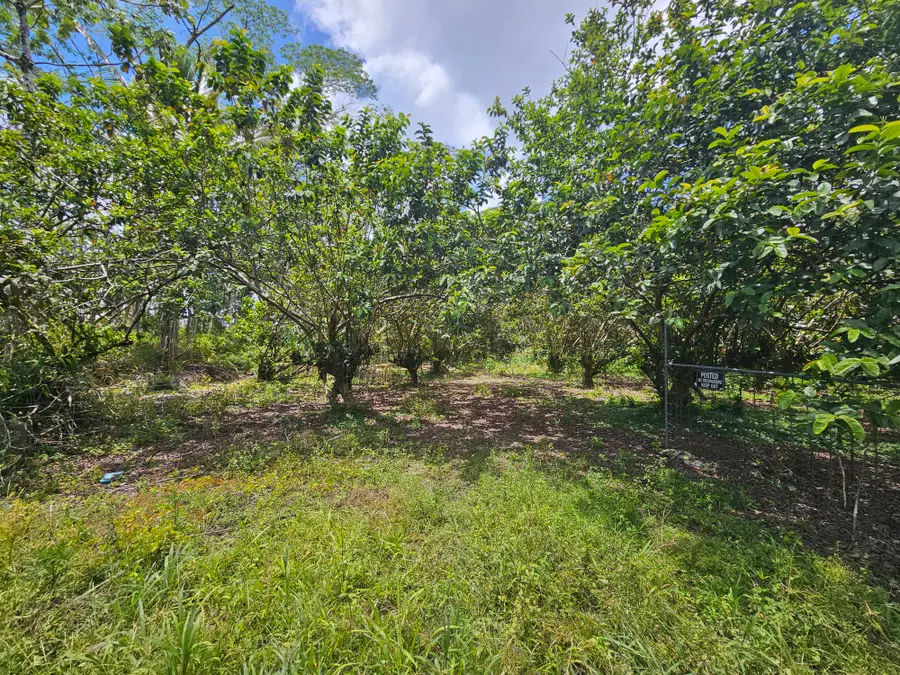 34th Ave, Kurtistown, HI 96760 - #3