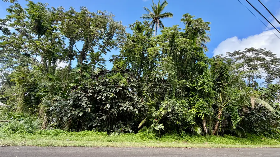 Opihi St, Pahoa, HI 96778 - #3