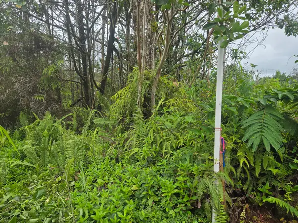 34th Ave, Kurtistown, HI 96760