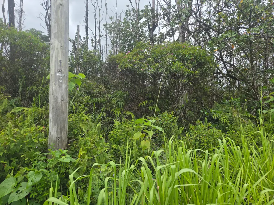 34th Ave, Kurtistown, HI 96760 - #2