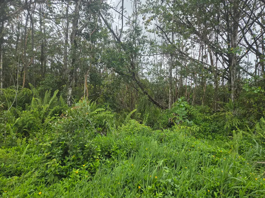 34th Ave, Kurtistown, HI 96760 - #3