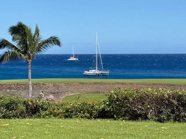 68-1050 Mauna Lani Point Dr #D101, Kamuela, HI 96743 - #1