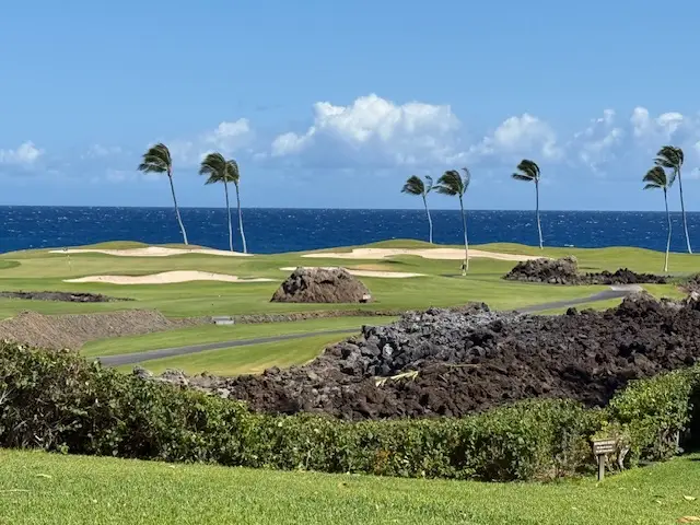 68-1050 Mauna Lani Point Dr #D101, Kamuela, HI 96743 - #2