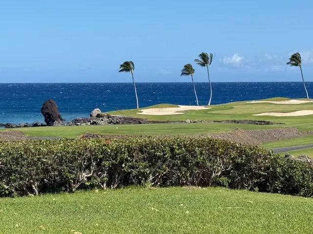 68-1050 Mauna Lani Point Dr #D101, Kamuela, HI 96743 - #3