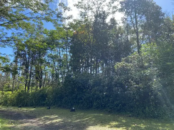 Tutu Rd, Pahoa, HI 96778