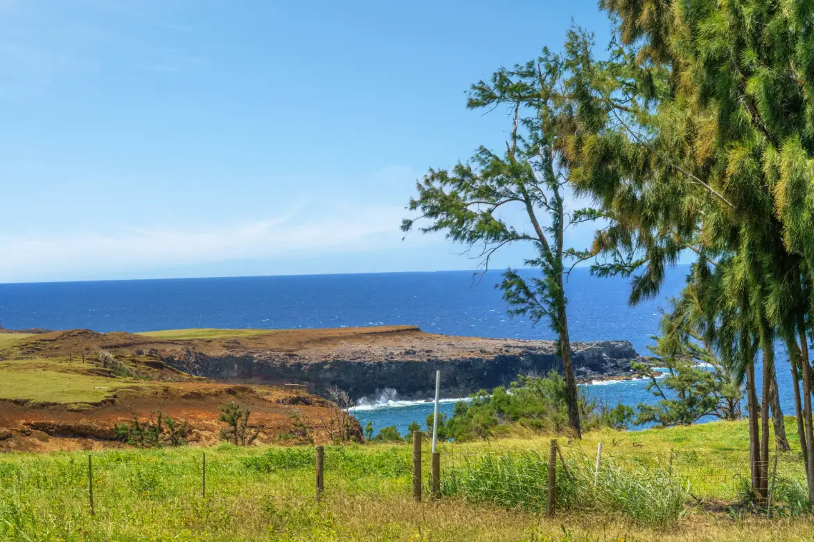 Uli Rd #Lot 1, Hawi, HI 96719 - #1