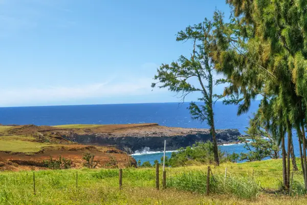 Uli Rd #Lot 1, Hawi, HI 96719