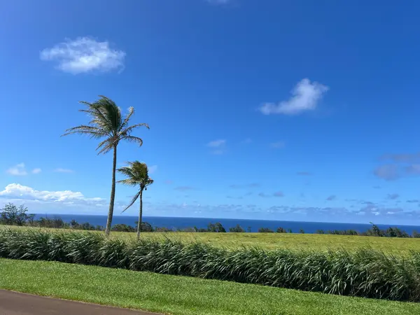 Uli Road #Lot 2, Hawi, HI 96719