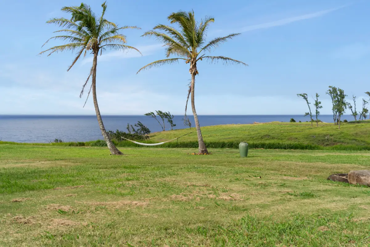 55-199 Hoea Rd, Hawi, HI 96719 - #1