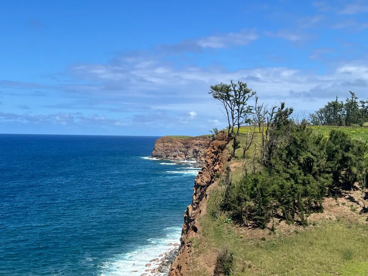 55-199-B Hoea Rd, Hawi, HI 96719 - #1