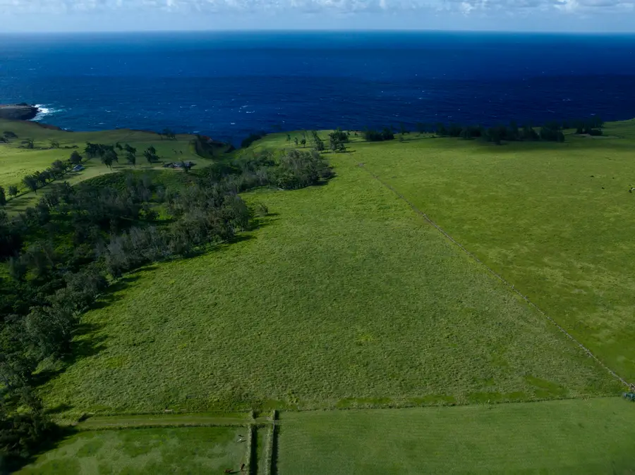 55-199-B Hoea Rd, Hawi, HI 96719 - #3