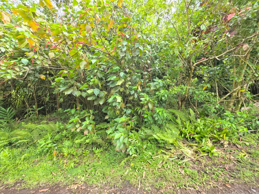 Aloha Rd, Pahoa, HI 96778 - #3