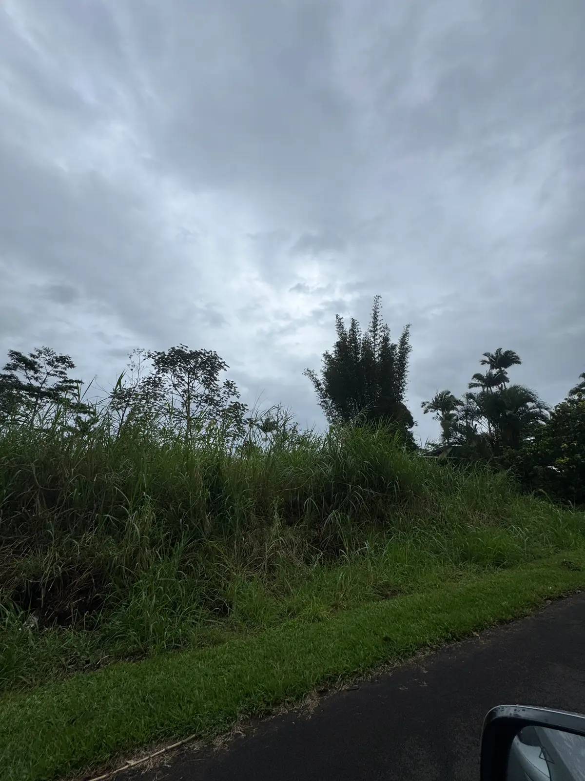 Sandalwood Dr, Pahoa, HI 96778 - #1