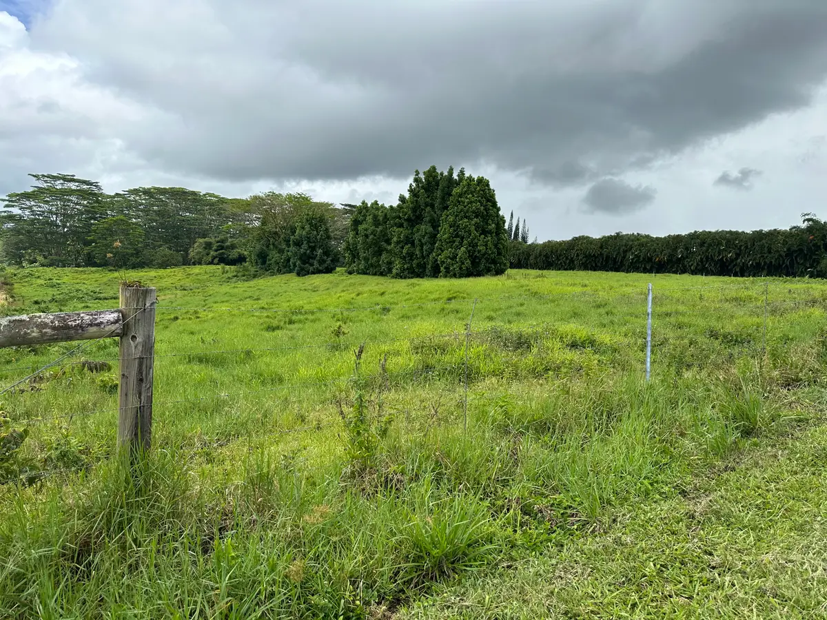 17-461 Hale Pule Loop, Kurtistown, HI 96760 - #1