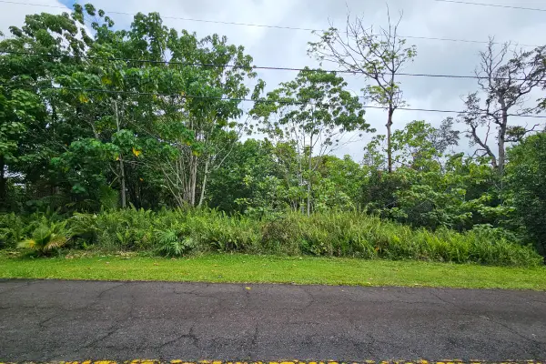 12-316 Pohakupele Loop, Pahoa, HI 96778
