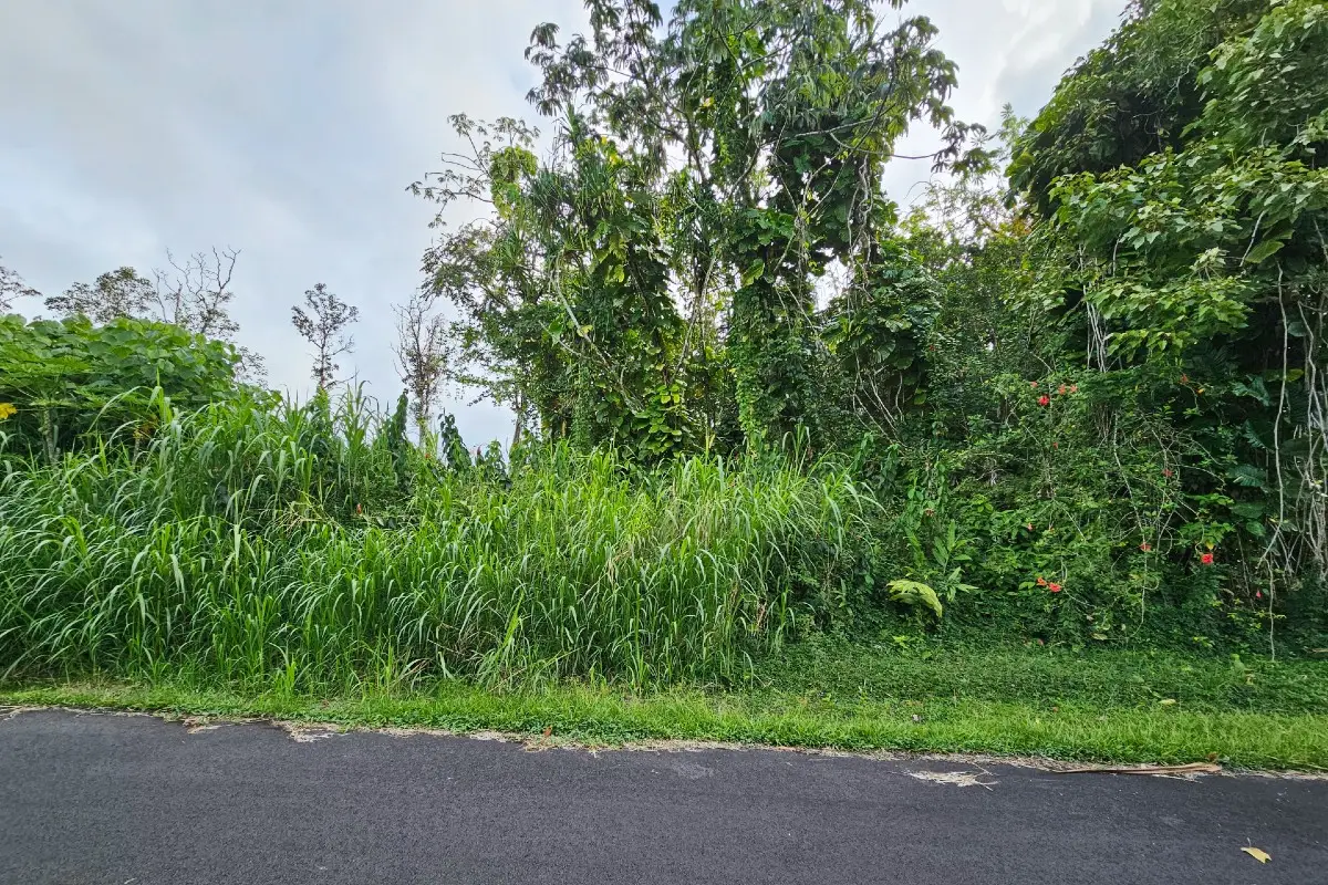 Ono St #Lot 20, Pahoa, HI 96778 - #1