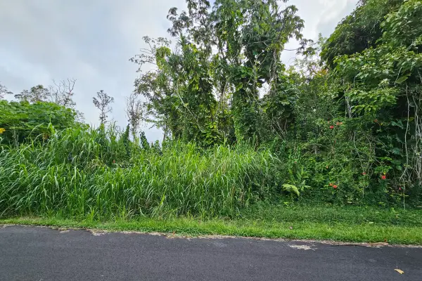 Ono St #Lot 20, Pahoa, HI 96778