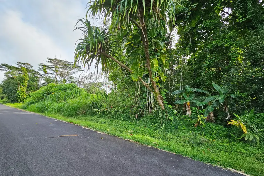 Ono St #Lot 20, Pahoa, HI 96778 - #2
