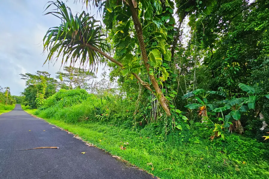 Ono St #Lot 20, Pahoa, HI 96778 - #3
