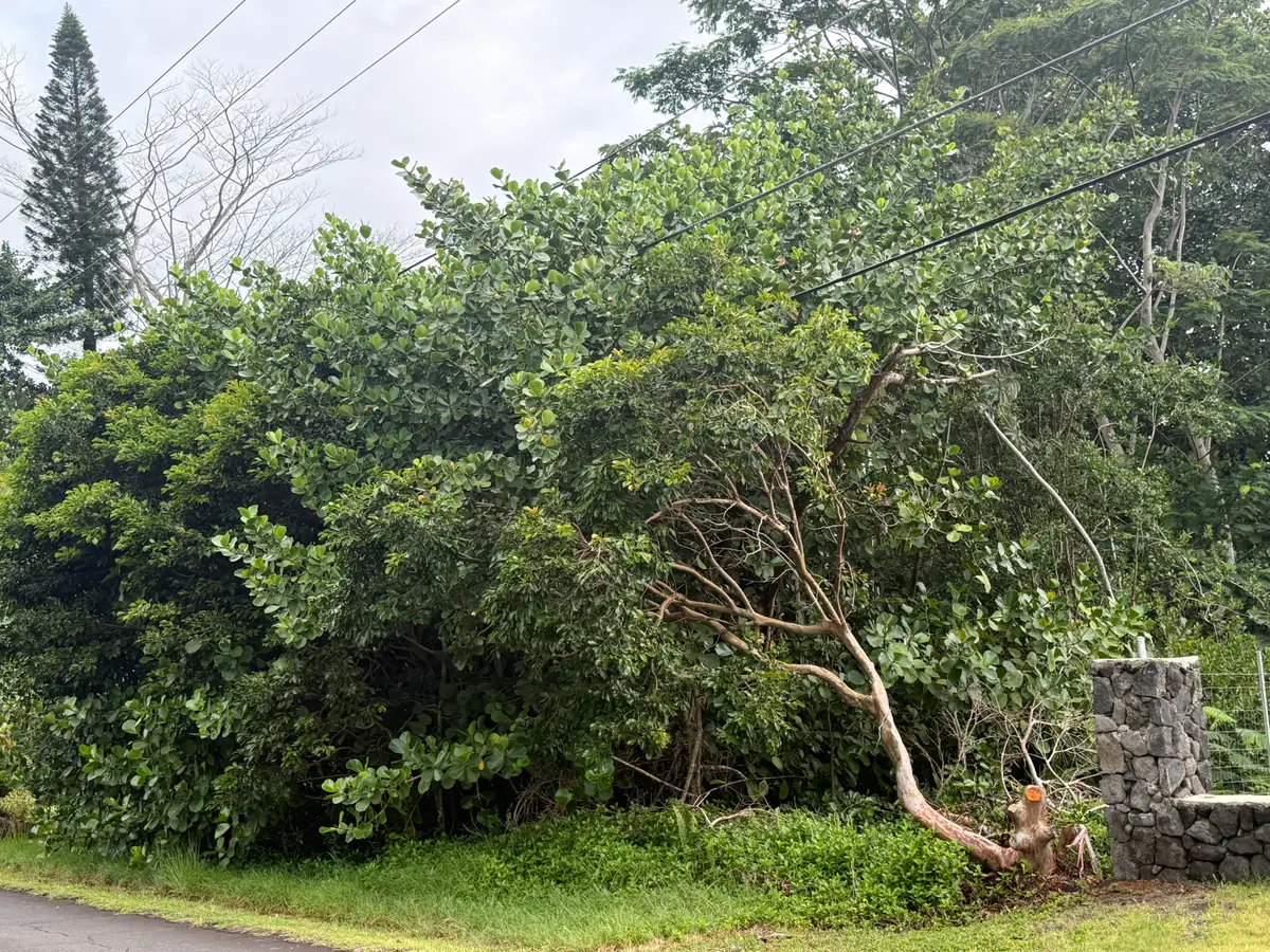 15-1611 Beach Rd, Keaau, HI 96749 - #1