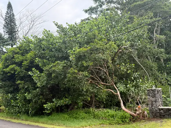 15-1611 Beach Rd, Keaau, HI 96749