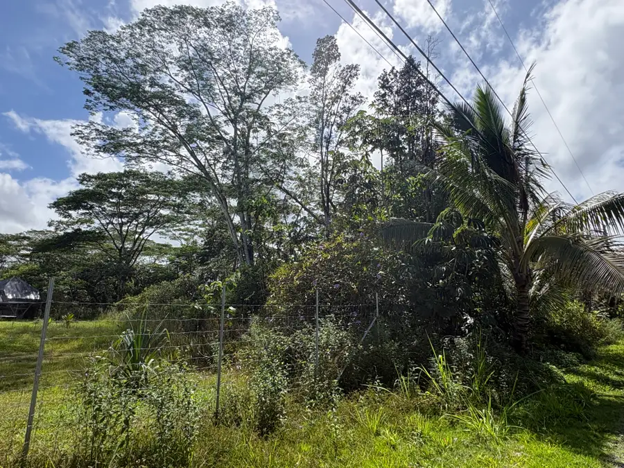 6th Ave, Keaau, HI 96749 - #3