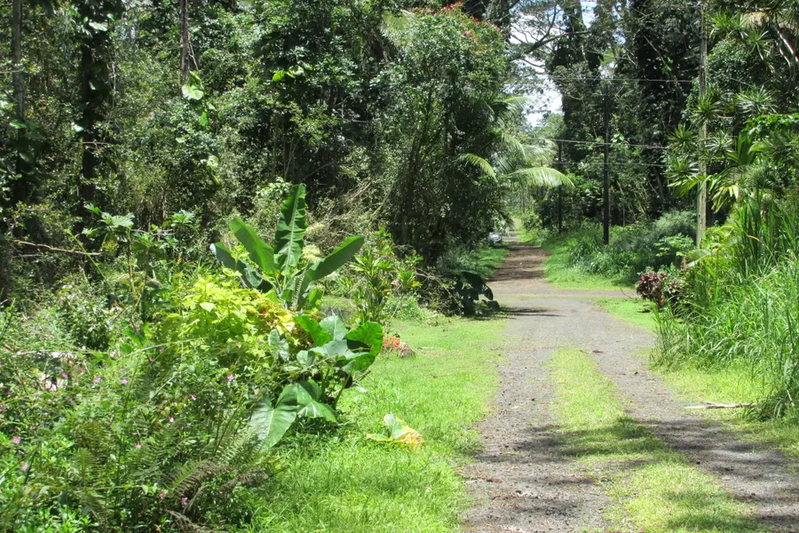 Plumeria Rd, Pahoa, HI 96778 - #2