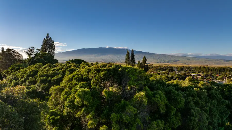 65-1307 Hokulani Pl, Kamuela, HI 96743 - #2