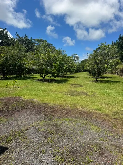16-1977 34th Ave, Kurtistown, HI 96760 - #2