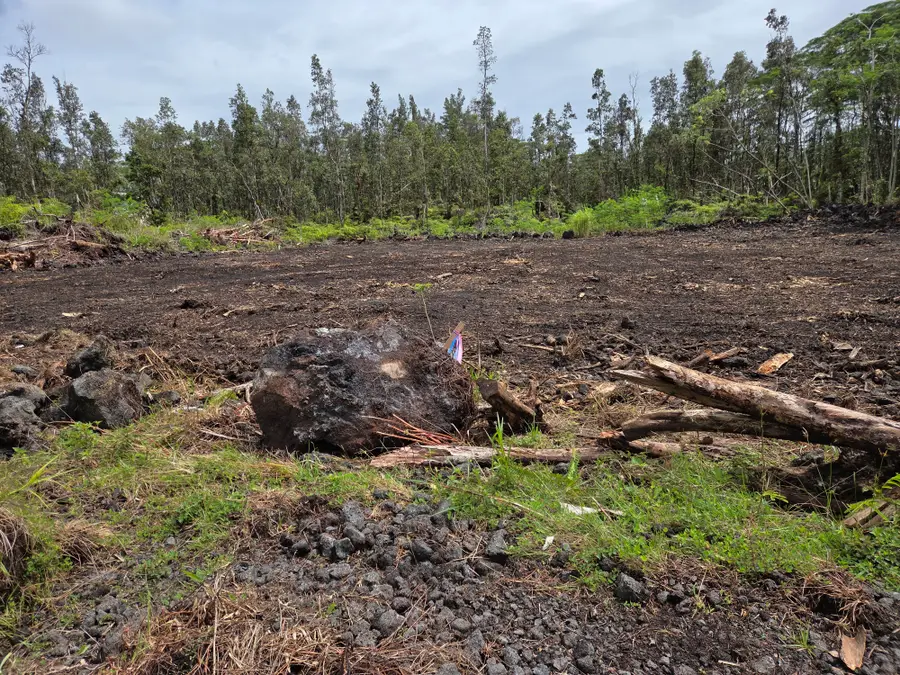 Plumeria Rd, Pahoa, HI 96778 - #2