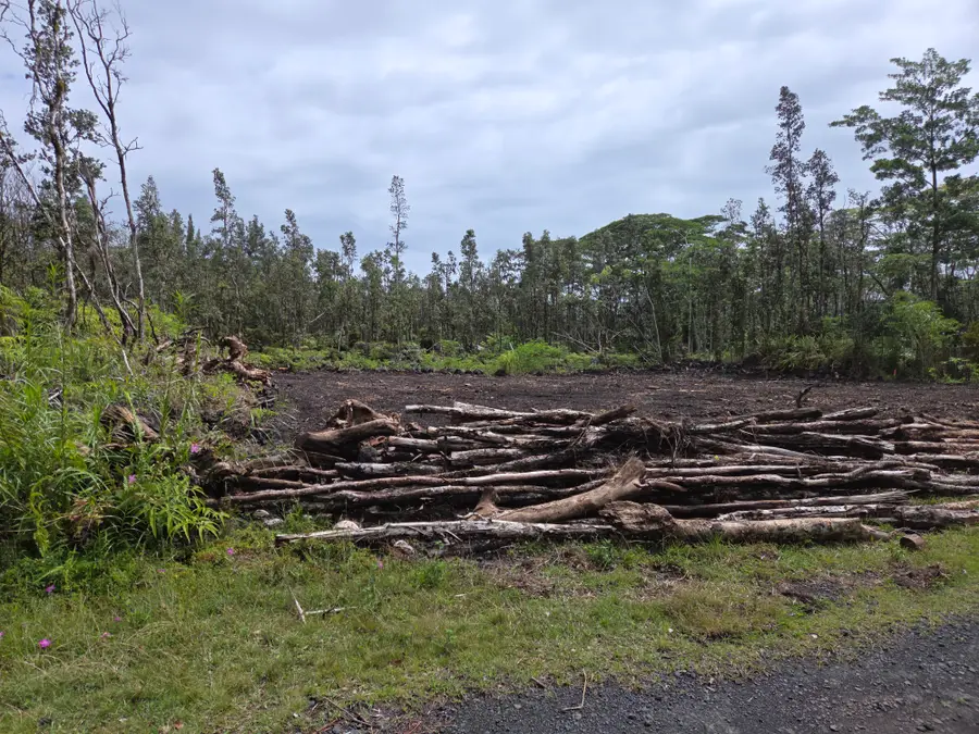 Plumeria Rd, Pahoa, HI 96778 - #3