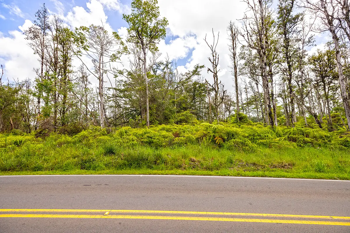 Road 8 (moho), Kurtistown, HI 96760 - #1