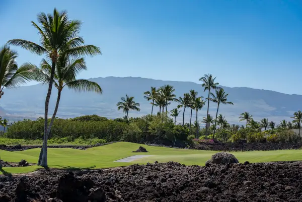68-1073 Honokaope Pl, Kamuela, HI 96743