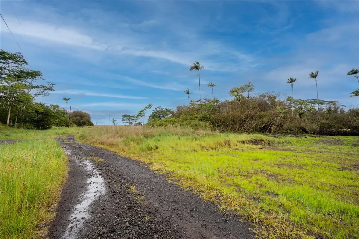 Huina Rd, Mountain View, HI 96771 - #1