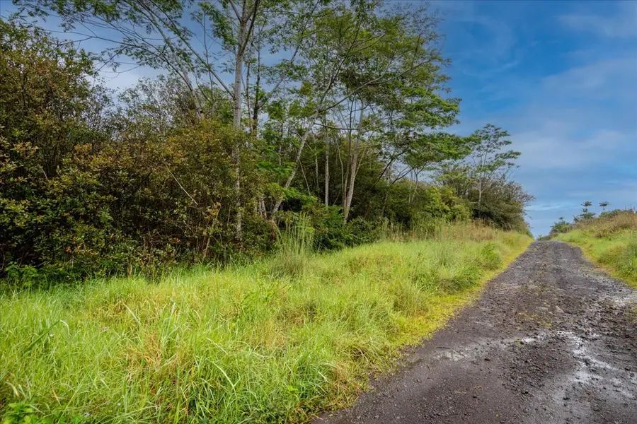 Huina Rd, Mountain View, HI 96771 - #2