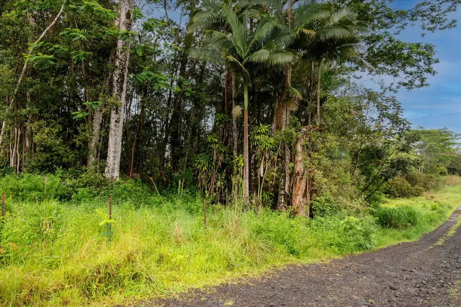 Huina Rd, Mountain View, HI 96771 - #3