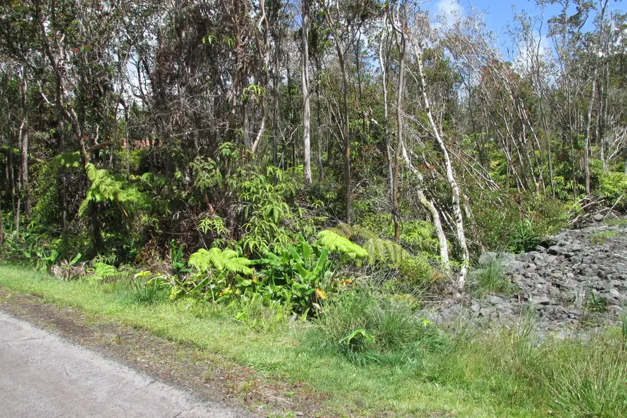 Mokuna St, Volcano, HI 96785 - #3