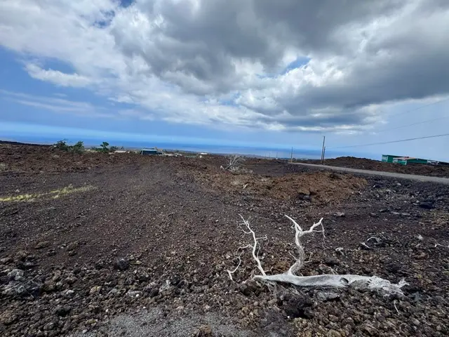 Kamaaina, Ocean View, HI 96737 - #3