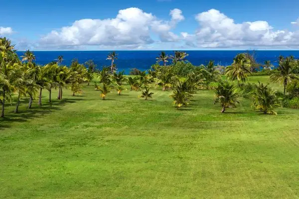Address Withheld By Seller, Kapaa, HI 96746 - #3
