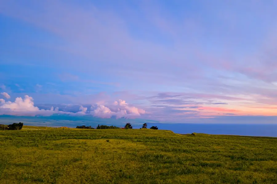 695 Ualani Pl, Kamuela, HI 96743 - #2